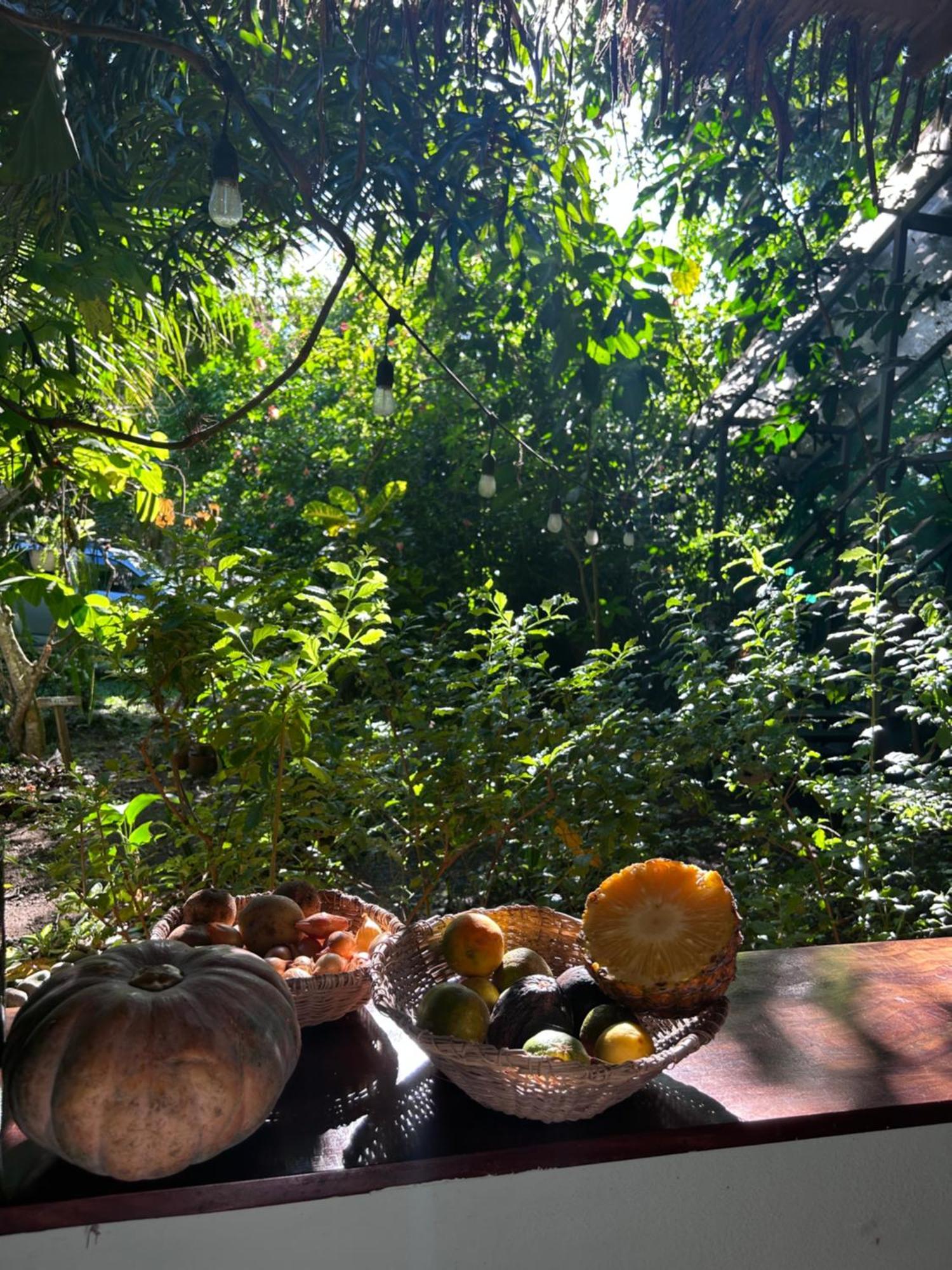 فندق Organico Punta Riel كويتا المظهر الخارجي الصورة